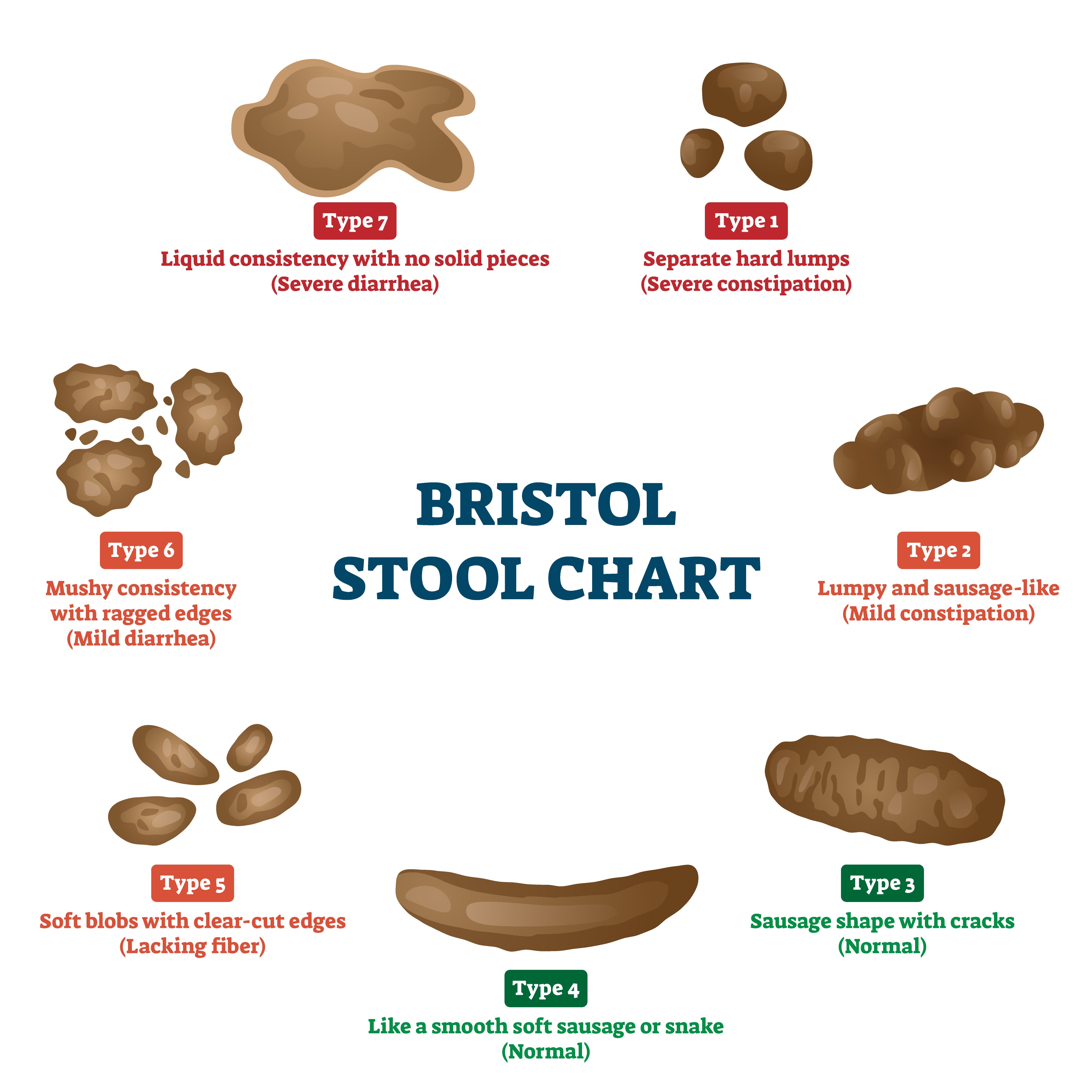 The Bristol Stool Chart An Essential Tool For Digestive Health Assess The Bristol Stool Chart An Essential Tool For Digestive Health Assess