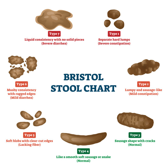 The Bristol Stool Chart: An Essential Tool for Digestive Health Assessment