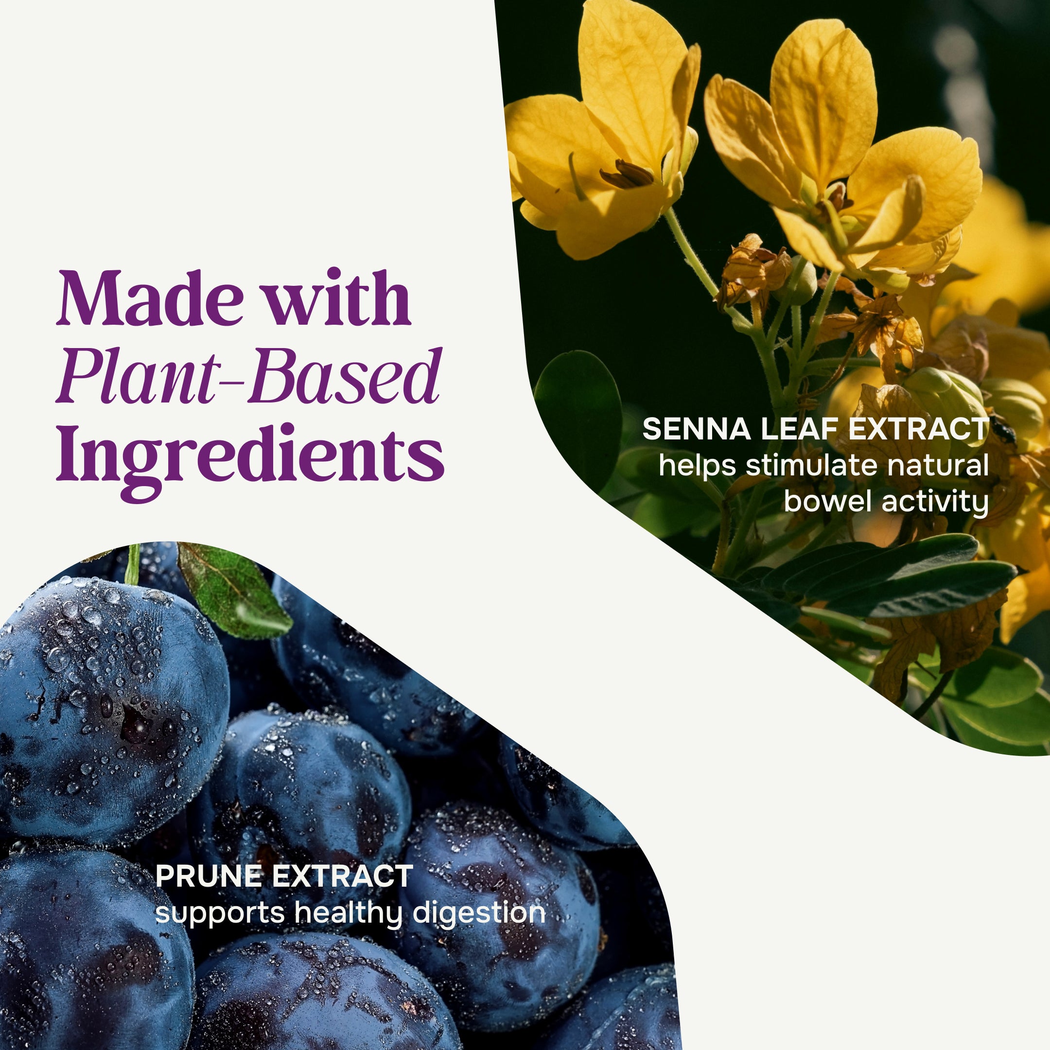 Prunelax® Ciruelax Maximum Relief Tablets